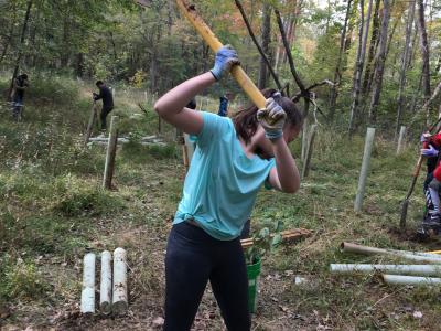 picture of student using a pick-axe
